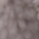 رمادي فاتح