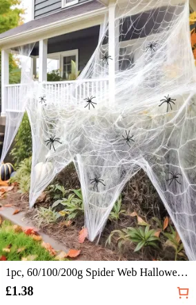 1pc 60/100/200g Spider Web...